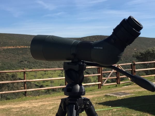 Swarovski Optik en FIO 2017 01 | Esteller