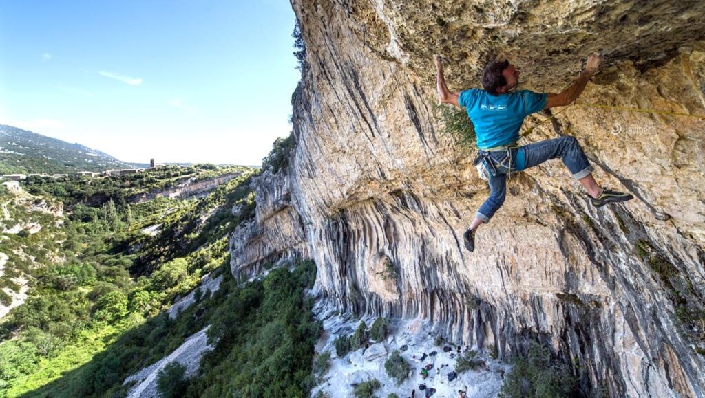 Carlos Logroño_Citro_arnés Onyx