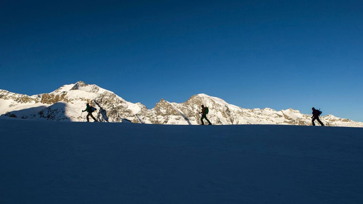 Fijación Xenic 10 Fritschi