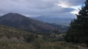 Trail Running Ibio - Sea to Summit Experience